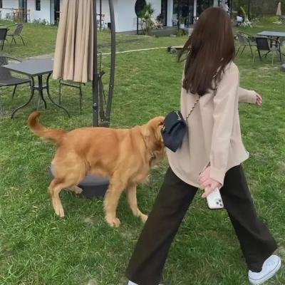 鬼卜怪谈